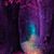 Andrea Braham's profile image