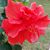 Judy Parson's profile image