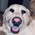 Rhonda Terry Petr's profile image