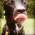 Kerrianne Kenher's profile image