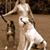 Norieta Stephanos's profile image