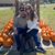 Leah Lindemann's profile image