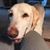 Gail Anderson Bates's profile image