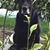 Linda Bergeman's profile image