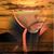 Derek M. Hayes's profile image