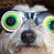 Matt Heise's profile image
