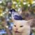 Roger Diaz's profile image