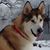John Trubiano's profile image