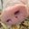 Max Lesin's profile image