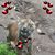 Beverly Bussy's profile image
