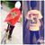 Ismael Youssouf's profile image