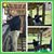 Reese Lancaster Greer's profile image