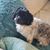Marilyn Sirota Borowsky's profile image