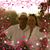 Cynthia McKellar DuBois's profile image