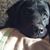 Tom Hoesch's profile image