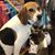 Anita Oaks Headrick's profile image