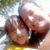 Michele Rua's profile image