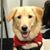 Sheri Kushner's profile image