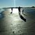 Nicole Gulley Smalley's profile image