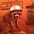 Jenny Pacetti's profile image