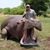 Aaron Bulkley's profile image