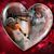 Victor Keith Mattison's profile image