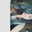 Randie Beeding's profile image