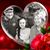 Patti Nommensen's profile image