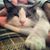 Cindy Kilgore Baumann's profile image