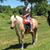 Diana Spiers's profile image