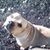 Cooter L Brown's profile image