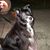 Doreen Ehinger Kelly's profile image