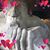 Tabitha Bowen's profile image