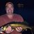 Christian Schnider's profile image