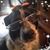 Billie Chandler's profile image