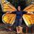 Sharon Andrews's profile image