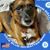 Robin McDonald Meinicke's profile image