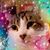 Crescent Wells's profile image