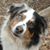 Linda E Eckert's profile image