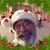John Pietricone's profile image
