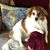Barbara Bellinger Heany's profile image