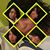 Felicia Garrett Wilson's profile image