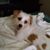 Bonnie Thomas's profile image