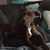 Valarie Anderson's profile image