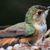 Lisa Marie Bouis's profile image