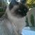 Denise Kenner Howard's profile image