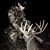 Hunter Christensen's profile image