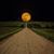 Patti Dillon's profile image