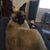 Chasity Prughski's profile image