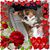 Wanda Palmerie's profile image